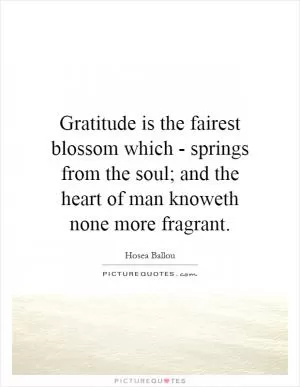Gratitude is the fairest blossom which - springs from the soul; and the heart of man knoweth none more fragrant Picture Quote #1