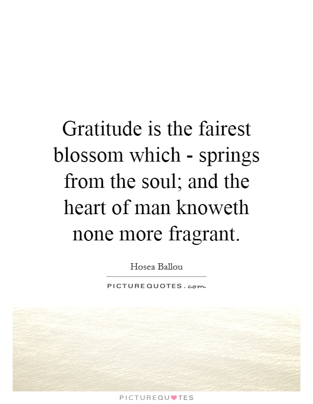 Gratitude is the fairest blossom which - springs from the soul; and the heart of man knoweth none more fragrant Picture Quote #1