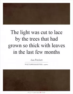 The light was cut to lace by the trees that had grown so thick with leaves in the last few months Picture Quote #1