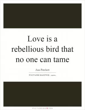 Love is a rebellious bird that no one can tame Picture Quote #1