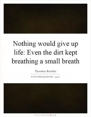Nothing would give up life: Even the dirt kept breathing a small breath Picture Quote #1