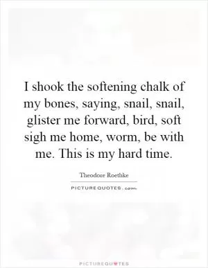 I shook the softening chalk of my bones, saying, snail, snail, glister me forward, bird, soft sigh me home, worm, be with me. This is my hard time Picture Quote #1