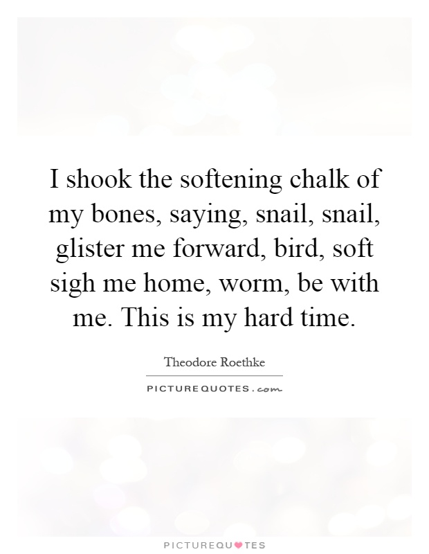 I shook the softening chalk of my bones, saying, snail, snail, glister me forward, bird, soft sigh me home, worm, be with me. This is my hard time Picture Quote #1