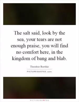 The salt said, look by the sea, your tears are not enough praise, you will find no comfort here, in the kingdom of bang and blab Picture Quote #1