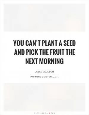 You can’t plant a seed and pick the fruit the next morning Picture Quote #1