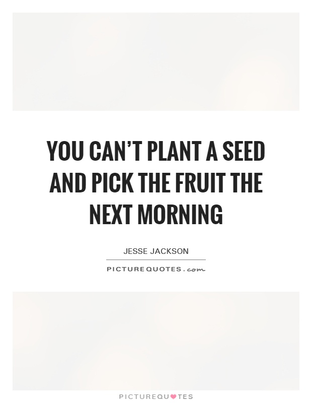 You can't plant a seed and pick the fruit the next morning Picture Quote #1