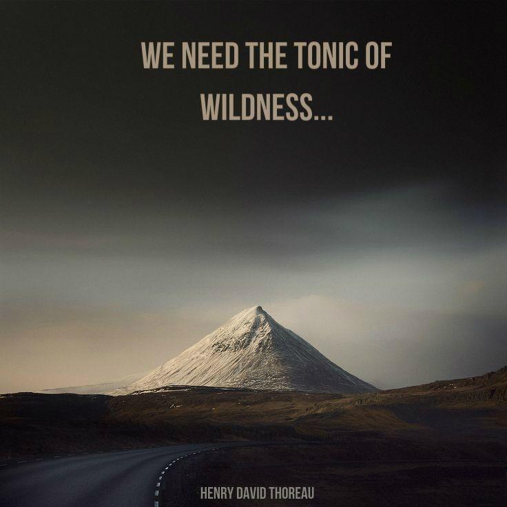 We need the tonic of wildness Picture Quote #1