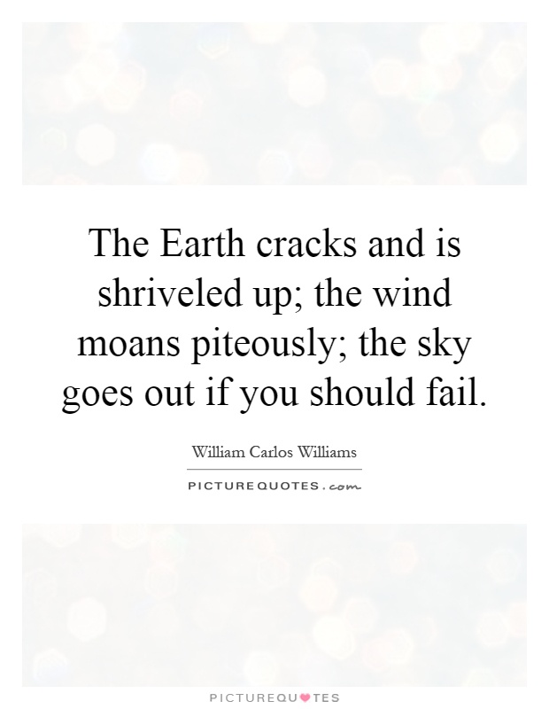 The Earth cracks and is shriveled up; the wind moans piteously; the sky goes out if you should fail Picture Quote #1