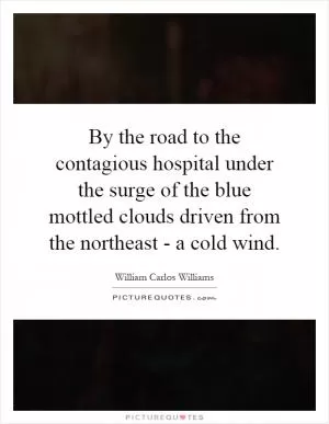 By the road to the contagious hospital under the surge of the blue mottled clouds driven from the northeast - a cold wind Picture Quote #1