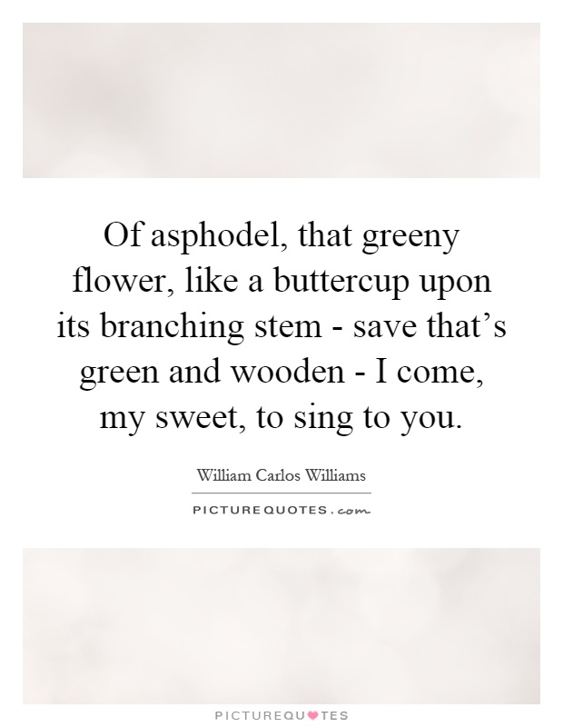Of asphodel, that greeny flower, like a buttercup upon its branching stem - save that's green and wooden - I come, my sweet, to sing to you Picture Quote #1