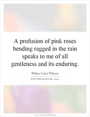 A profusion of pink roses bending ragged in the rain speaks to me of all gentleness and its enduring Picture Quote #1