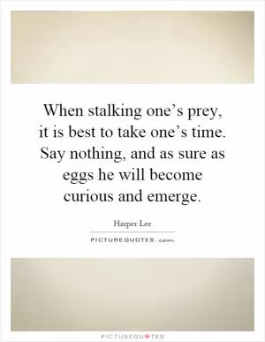 When stalking one’s prey, it is best to take one’s time. Say nothing, and as sure as eggs he will become curious and emerge Picture Quote #1