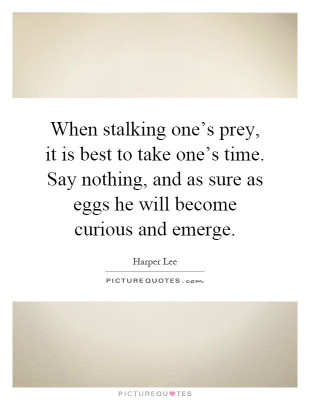 When stalking one's prey, it is best to take one's time. Say nothing, and as sure as eggs he will become curious and emerge Picture Quote #1