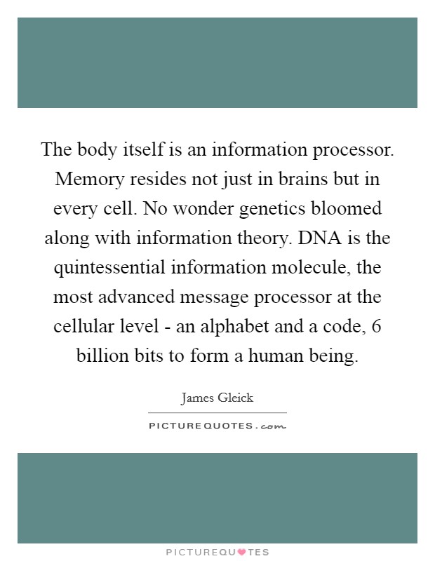 The body itself is an information processor. Memory resides not just in brains but in every cell. No wonder genetics bloomed along with information theory. DNA is the quintessential information molecule, the most advanced message processor at the cellular level - an alphabet and a code, 6 billion bits to form a human being. Picture Quote #1
