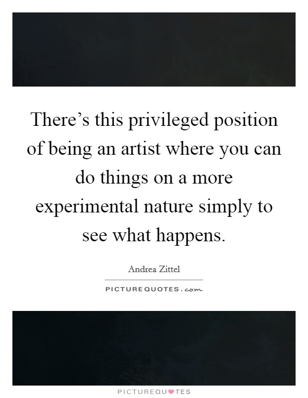 There's this privileged position of being an artist where you can do things on a more experimental nature simply to see what happens. Picture Quote #1