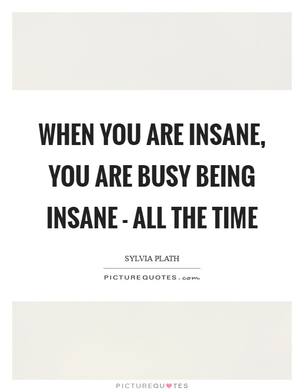 When you are insane, you are busy being insane - all the time Picture Quote #1