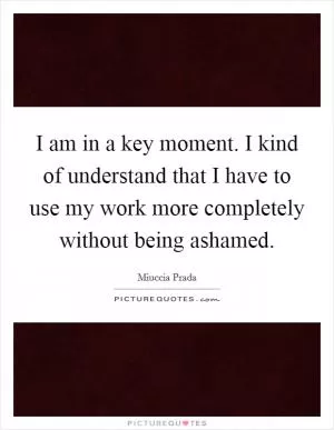 I am in a key moment. I kind of understand that I have to use my work more completely without being ashamed Picture Quote #1