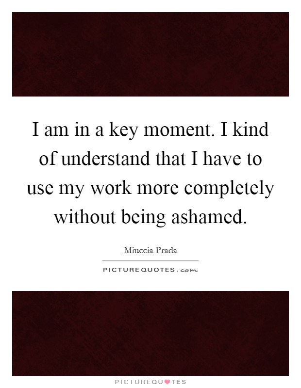 I am in a key moment. I kind of understand that I have to use my work more completely without being ashamed. Picture Quote #1