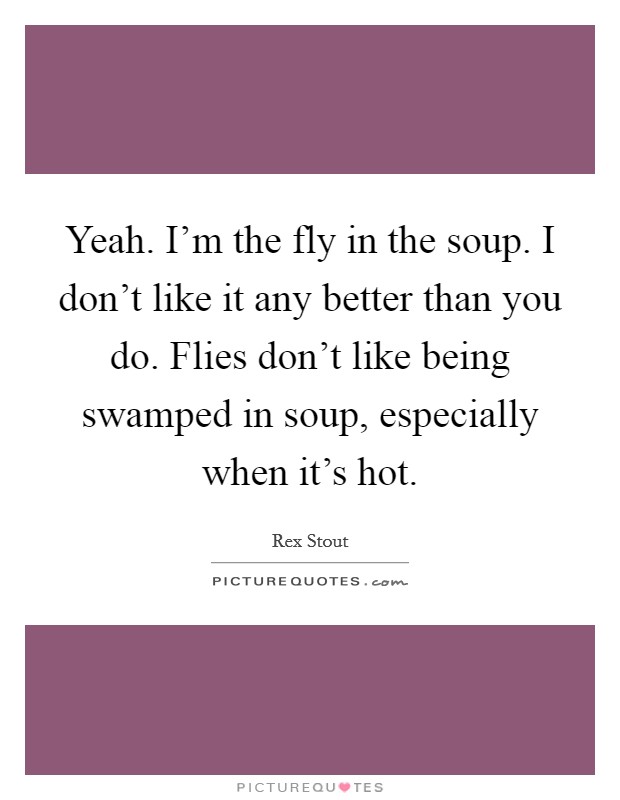 Yeah. I'm the fly in the soup. I don't like it any better than you do. Flies don't like being swamped in soup, especially when it's hot. Picture Quote #1