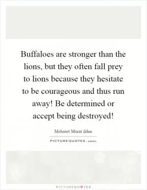 Buffaloes are stronger than the lions, but they often fall prey to lions because they hesitate to be courageous and thus run away! Be determined or accept being destroyed! Picture Quote #1