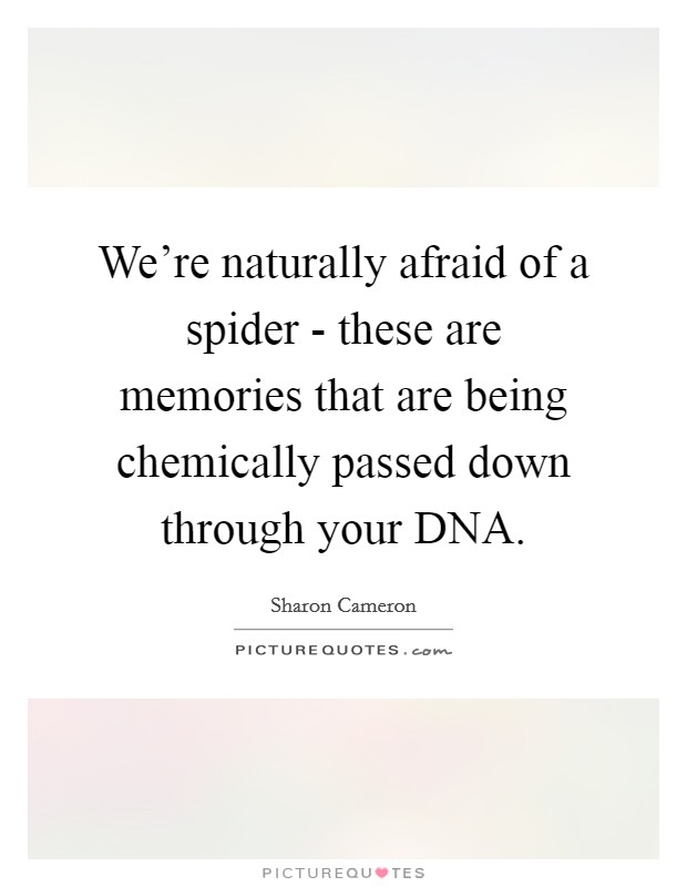 We're naturally afraid of a spider - these are memories that are being chemically passed down through your DNA. Picture Quote #1