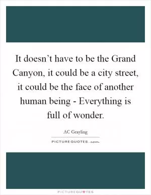 It doesn’t have to be the Grand Canyon, it could be a city street, it could be the face of another human being - Everything is full of wonder Picture Quote #1