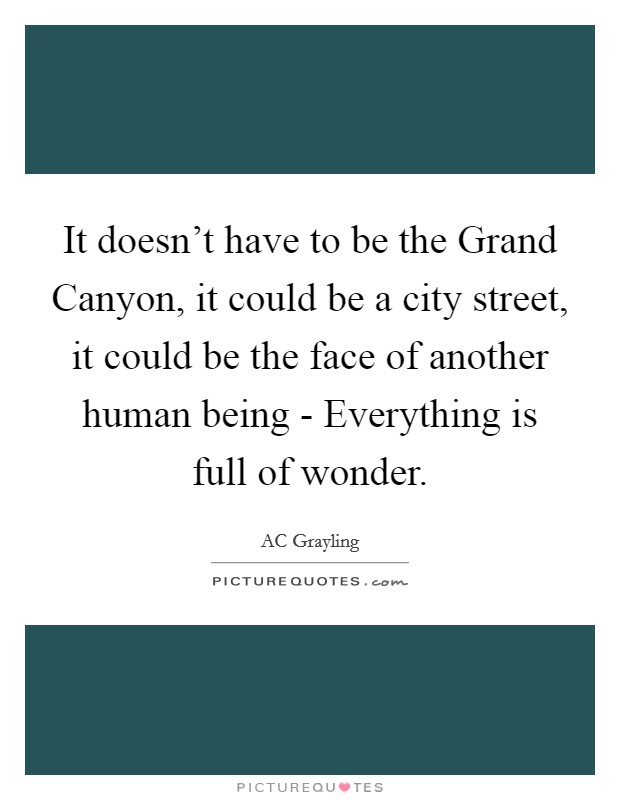 It doesn't have to be the Grand Canyon, it could be a city street, it could be the face of another human being - Everything is full of wonder. Picture Quote #1