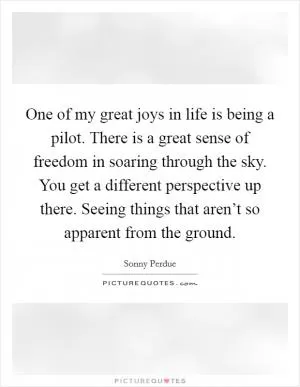 One of my great joys in life is being a pilot. There is a great sense of freedom in soaring through the sky. You get a different perspective up there. Seeing things that aren’t so apparent from the ground Picture Quote #1