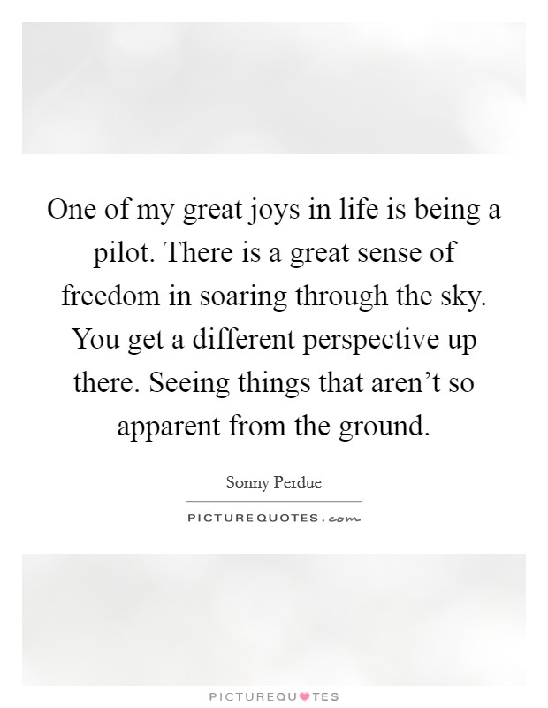 One of my great joys in life is being a pilot. There is a great sense of freedom in soaring through the sky. You get a different perspective up there. Seeing things that aren't so apparent from the ground. Picture Quote #1