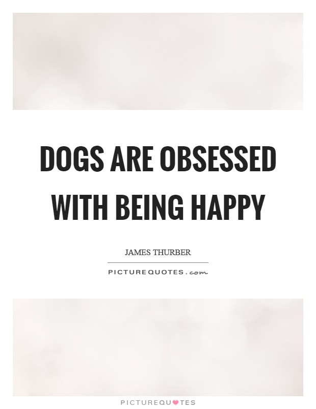 Dogs are obsessed with being happy Picture Quote #1