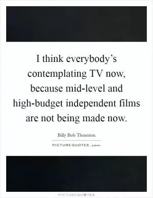 I think everybody’s contemplating TV now, because mid-level and high-budget independent films are not being made now Picture Quote #1