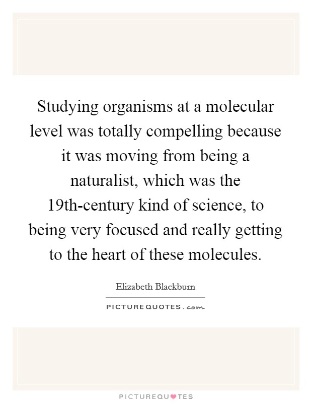 Studying organisms at a molecular level was totally compelling because it was moving from being a naturalist, which was the 19th-century kind of science, to being very focused and really getting to the heart of these molecules. Picture Quote #1
