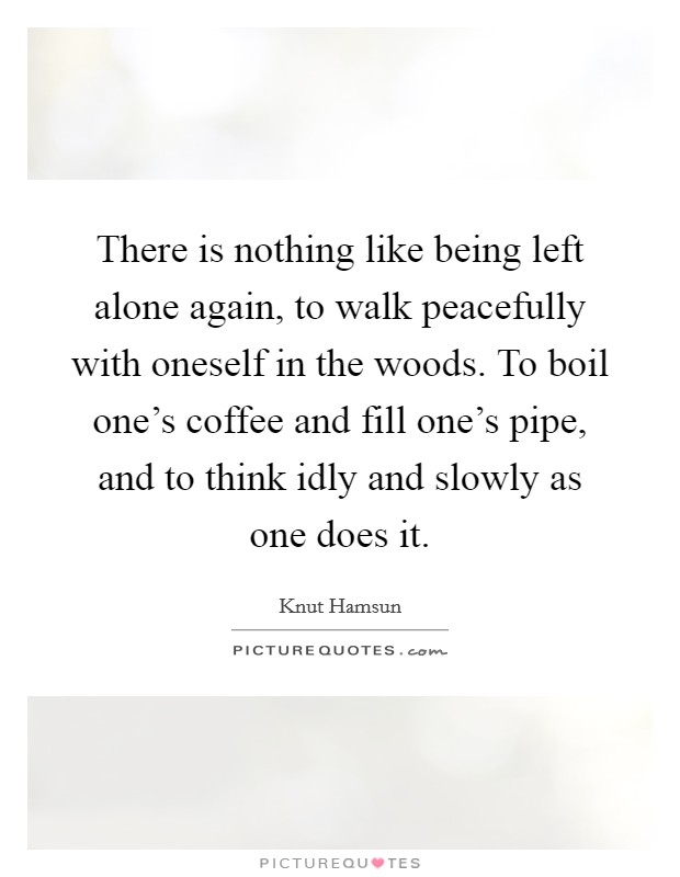 There is nothing like being left alone again, to walk peacefully with oneself in the woods. To boil one's coffee and fill one's pipe, and to think idly and slowly as one does it. Picture Quote #1