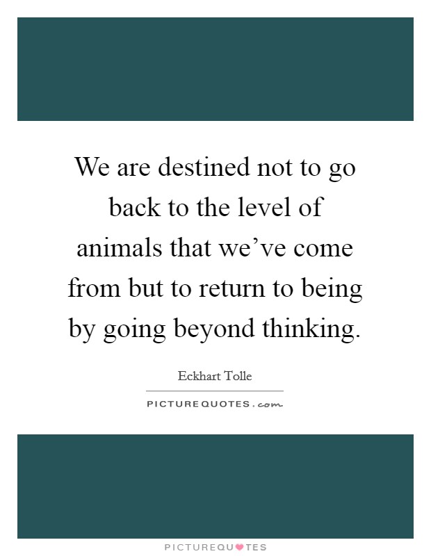 We are destined not to go back to the level of animals that we've come from but to return to being by going beyond thinking. Picture Quote #1