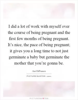 I did a lot of work with myself over the course of being pregnant and the first few months of being pregnant. It’s nice, the pace of being pregnant; it gives you a long time to not just germinate a baby but germinate the mother that you’re gonna be Picture Quote #1