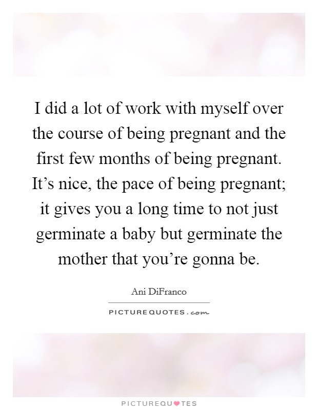 I did a lot of work with myself over the course of being pregnant and the first few months of being pregnant. It's nice, the pace of being pregnant; it gives you a long time to not just germinate a baby but germinate the mother that you're gonna be. Picture Quote #1