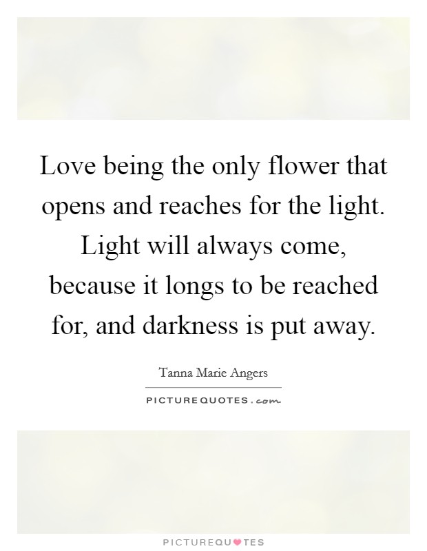 Love being the only flower that opens and reaches for the light. Light will always come, because it longs to be reached for, and darkness is put away. Picture Quote #1