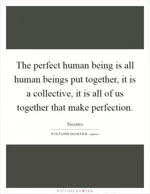 The perfect human being is all human beings put together, it is a collective, it is all of us together that make perfection Picture Quote #1
