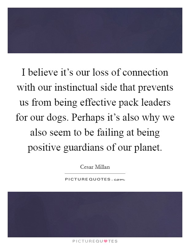 I believe it's our loss of connection with our instinctual side that prevents us from being effective pack leaders for our dogs. Perhaps it's also why we also seem to be failing at being positive guardians of our planet. Picture Quote #1