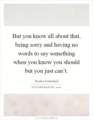 But you know all about that, being sorry and having no words to say something when you know you should but you just can’t Picture Quote #1