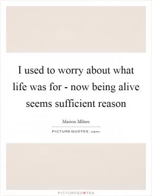 I used to worry about what life was for - now being alive seems sufficient reason Picture Quote #1
