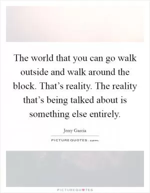 The world that you can go walk outside and walk around the block. That’s reality. The reality that’s being talked about is something else entirely Picture Quote #1