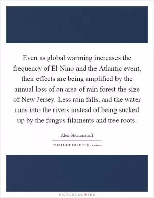 Even as global warming increases the frequency of El Nino and the Atlantic event, their effects are being amplified by the annual loss of an area of rain forest the size of New Jersey. Less rain falls, and the water runs into the rivers instead of being sucked up by the fungus filaments and tree roots Picture Quote #1