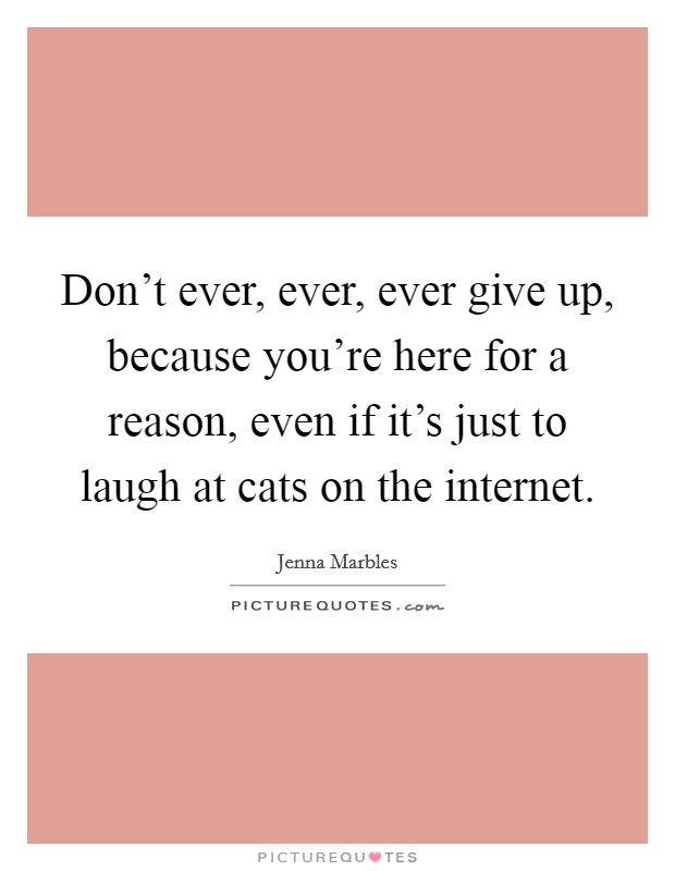 Don't ever, ever, ever give up, because you're here for a reason, even if it's just to laugh at cats on the internet. Picture Quote #1