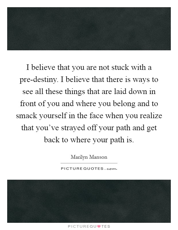I believe that you are not stuck with a pre-destiny. I believe that there is ways to see all these things that are laid down in front of you and where you belong and to smack yourself in the face when you realize that you've strayed off your path and get back to where your path is. Picture Quote #1