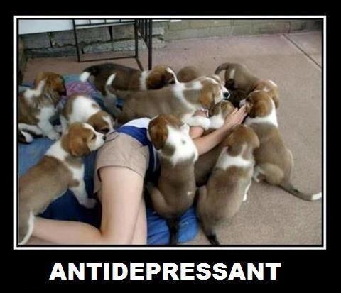 Antidepressant Picture Quote #1