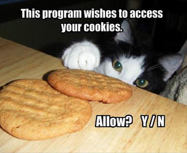 This program wishes to access your cookies. Allow? Y/N Picture Quote #1