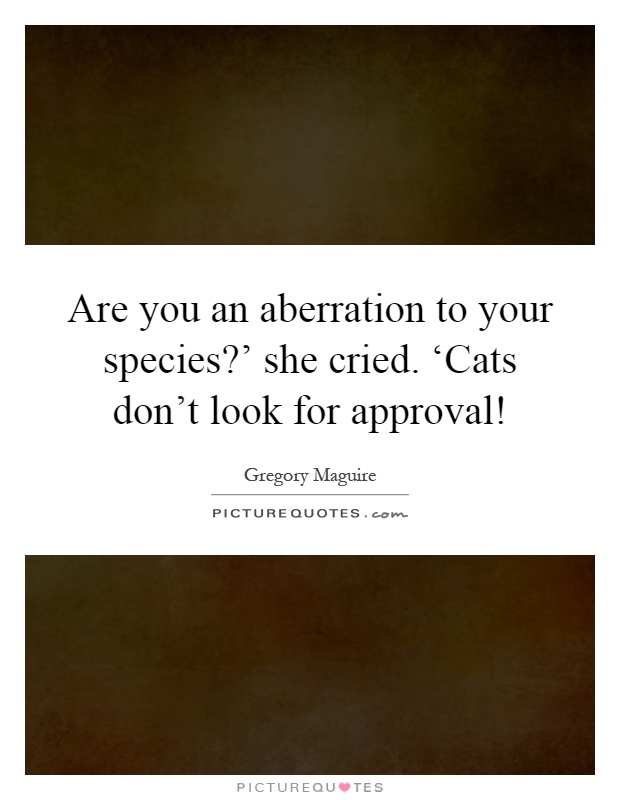 Are you an aberration to your species?' she cried. ‘Cats don't look for approval! Picture Quote #1