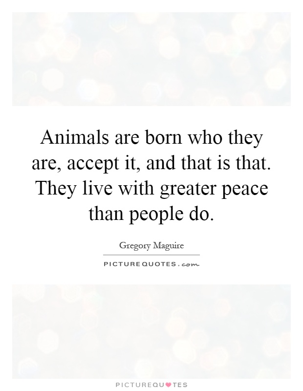 Animals are born who they are, accept it, and that is that. They live with greater peace than people do Picture Quote #1