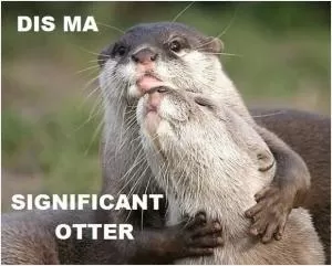 Dis ma significant otter Picture Quote #1